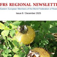 Decembrski novičnik iz rožnega sveta za vzhodno evropsko regijo