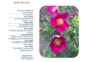 Izšel je novi regionalni e-novičnik WFRS