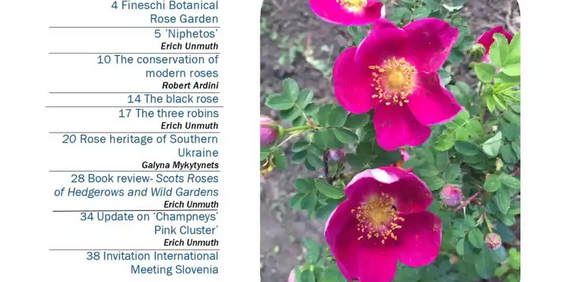 Izšel je novi regionalni e-novičnik WFRS